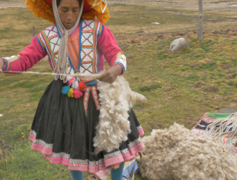 ETHICAL & SUSTAINABLE